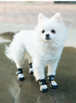 Pet Pooch Cartoon Rain Shoes Teddy Kin Mohair Kirkki Bagotheca Sashmoyer Silver Fox Waterproof Shoes