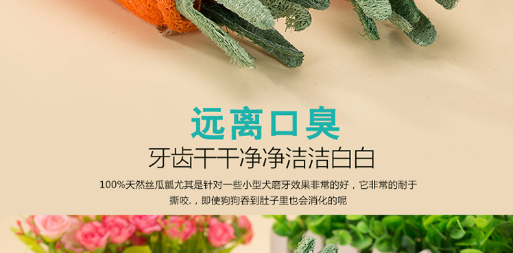 Loofah Carrot Pet Toy Dog Dog Cat Molar B cắn Huấn luyện Teddy Golden Retriever Đồ dùng cho chó nhỏ - Mèo / Chó Đồ chơi đồ chơi gỗ cho mèo