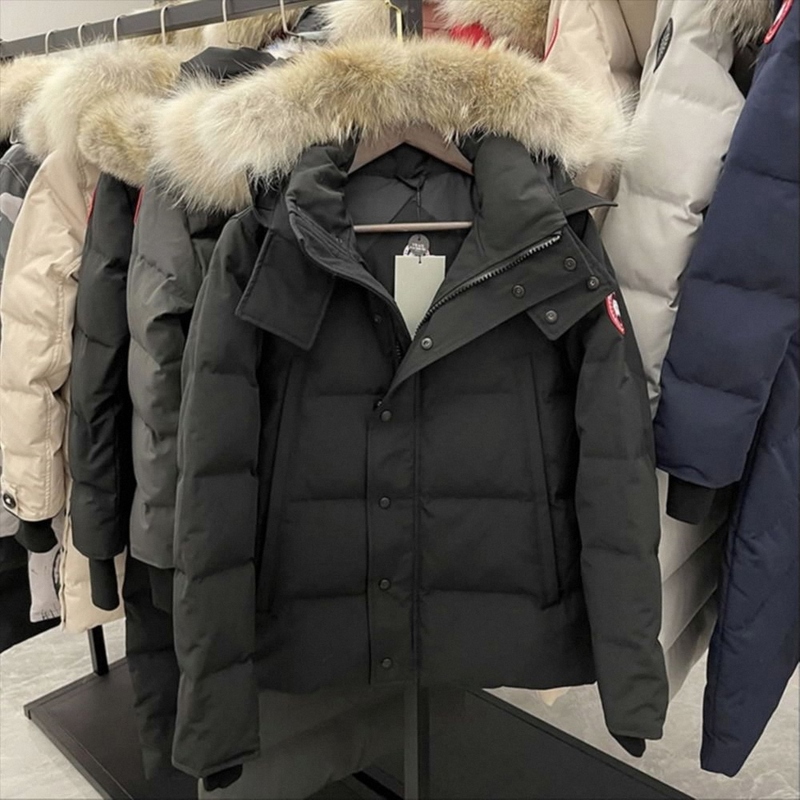 [Limited Time Special Offer] Wyndham Men's Parka down Jacket