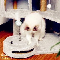 Tontianzhu Cat Tower Cat Grasping Column All Season Universal Cat Climbing Cat and cat catwalk Kitty Villa Kitty Villa vertical cat shelf