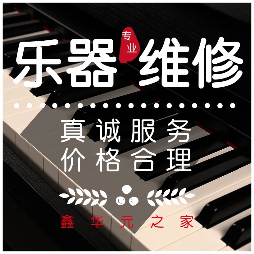 Maintenance of domestic miscellaneous cards to fly the beauty of the land Roland TheoneCASIOkorg Mountain Leaf electronic violin