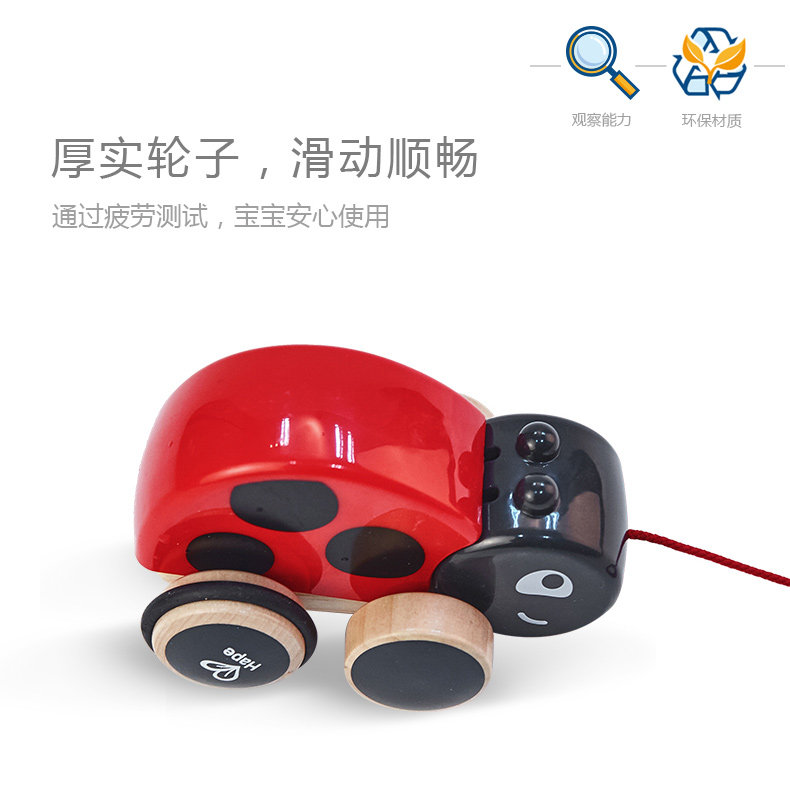 E0362 DRAG LADYBUG_06.JPG