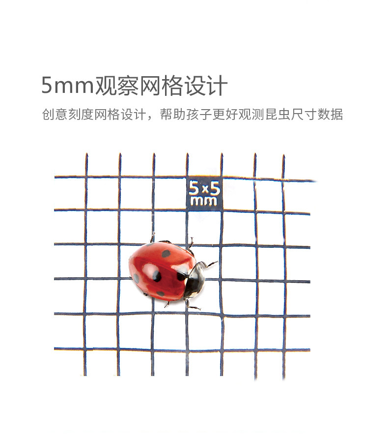 E5577 Банка для наблюдения за насекомыми_05.jpg