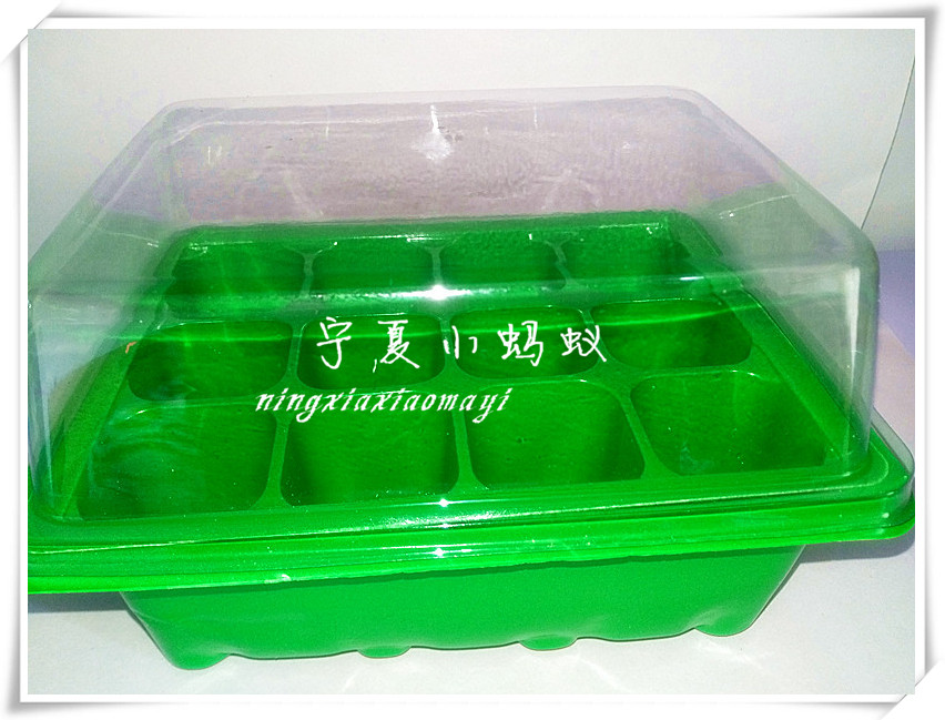 12-hole plastic nursery box Hole plate insulation moisturizing nursery box three-piece set of three sets of three sets