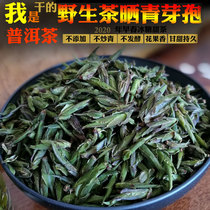 2020 Wild ancient Tree Puer Tea Sun-dried green bud spores Tea Shengjin quick return to Gan Jiunye rhyme foot fragrance Green bud dry tea