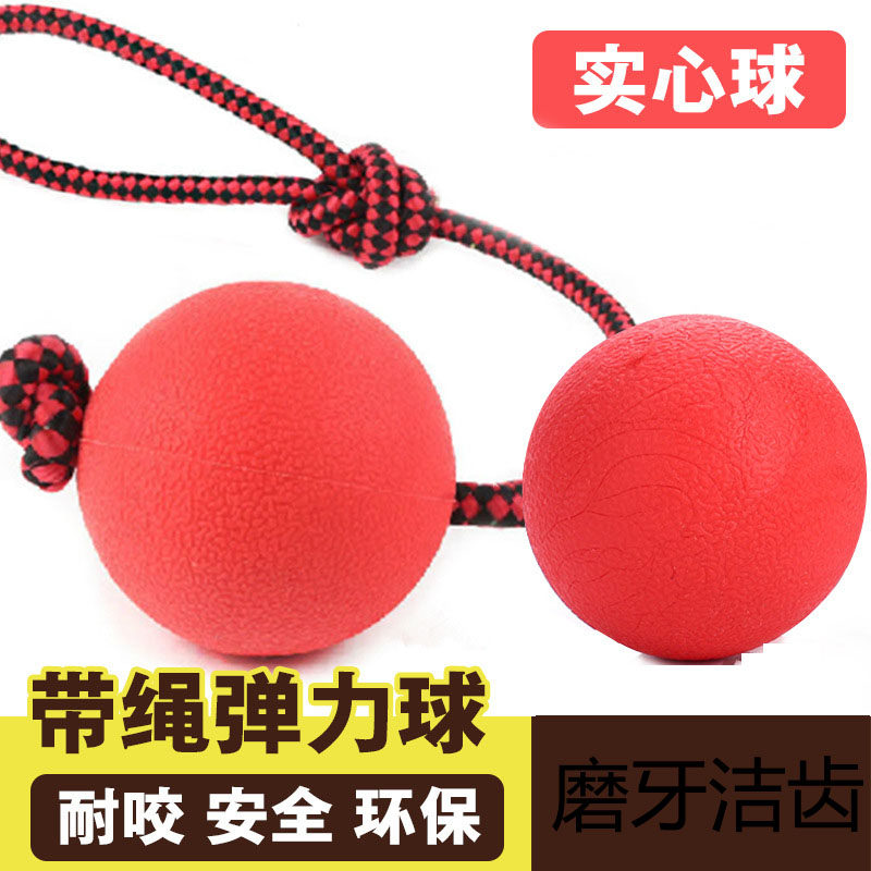 Pet dog toy ball puppy bite teeth tease dog ball ball rubber solid rope training ball