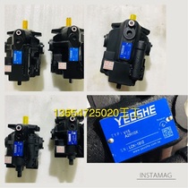 Taiwan Yousheng plunger oil pump V15A1R10X V15A2R10X V15A3R10X V15A4R10X