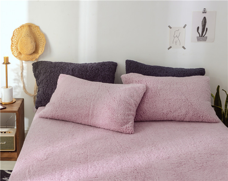 Mùa đông đơn giản san hô lông cừu tấm đơn mảnh cộng với nhung dày flannel đệm đơn pad duy nhất đôi chăn sang trọng ga trải giường mát