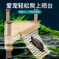 Turtle Sun Terrace Climbing Terrace Brazil Tortoise Tortoise Water Turtle Deep Water Turtle Crawling With Climbing Climbing Terrace Floating Island Floating Terrace Fish Turtle Mixed Raising Terrace