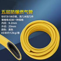 High pressure explosion-proof thickened gas hose Natural gas pipe Gas pipe Liquefied gas water heater stove pipe