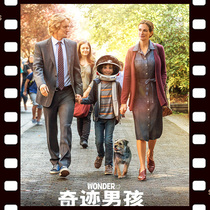 Wonder Boy Wonder 2017 Indian movie super Chinese subtitles non-promotional poster