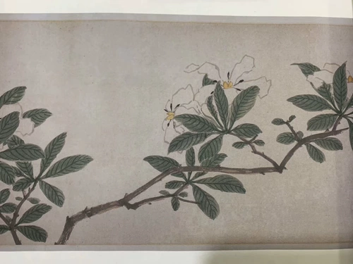 Антикварная каллиграфия и живопись Шэнь Чжоу Четыре сезона Цветочный свиток Картины цветов и птиц Традиционная китайская живопись Искусство Репродукция Жикле