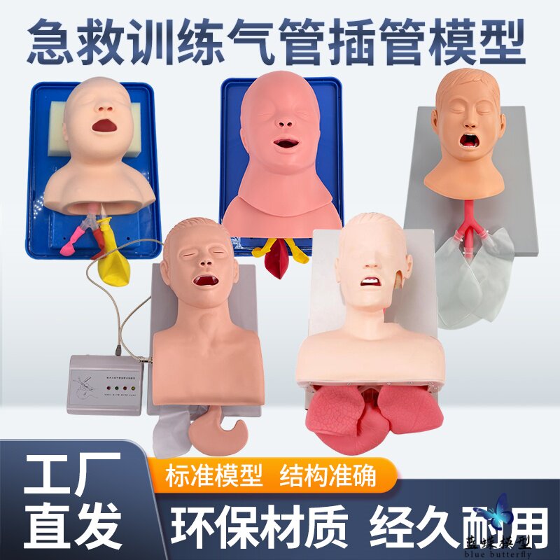 婴儿儿童成人电子人体气管插管训练模型牙齿带报警气道管理模拟人