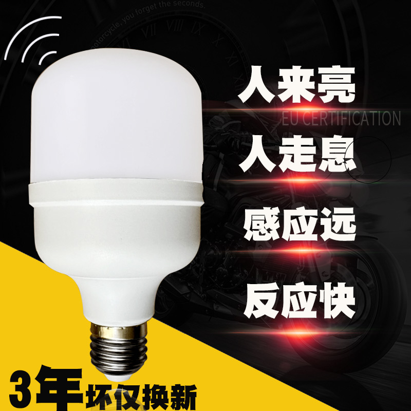Induction Light Turns on When People Come and Turns Off When People Leave. Automatic Human Body Light at Night. Radar Voice-Controlled Smart Light Bulb in the Corridor