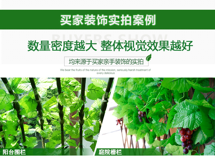 Mô phỏng cây leo trang trí mây giả hoa nho ống hoa nho cây xanh trần cây lá nhựa nhựa lá xanh lá - Hoa nhân tạo / Cây / Trái cây bình hoa giả