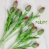 Mô phỏng hoa tulip hoa khô trong nhà cắm hoa giả hoa phòng khách trang trí bàn trang trí nhựa bó hoa vải - Hoa nhân tạo / Cây / Trái cây cây đào giả Hoa nhân tạo / Cây / Trái cây