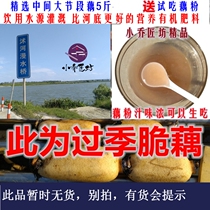 Xiaoqiao Jiangfang Beauty Red Crisp Lotus Root Fragrance Drinking Water Source Pollution-free Selected Middle Large Festival Lotus Root Segment 5 catties