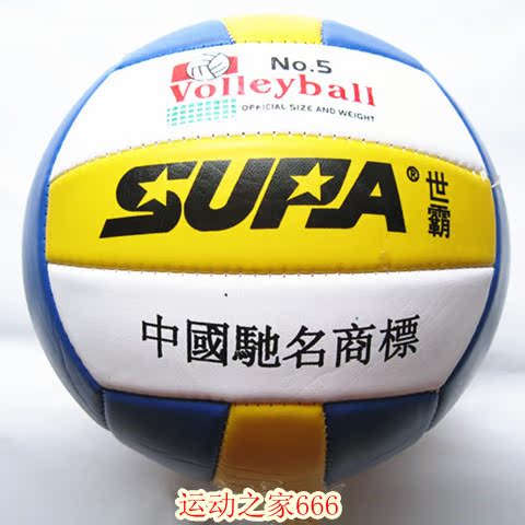 Ballon de volley - Ref 2012101 Image 4