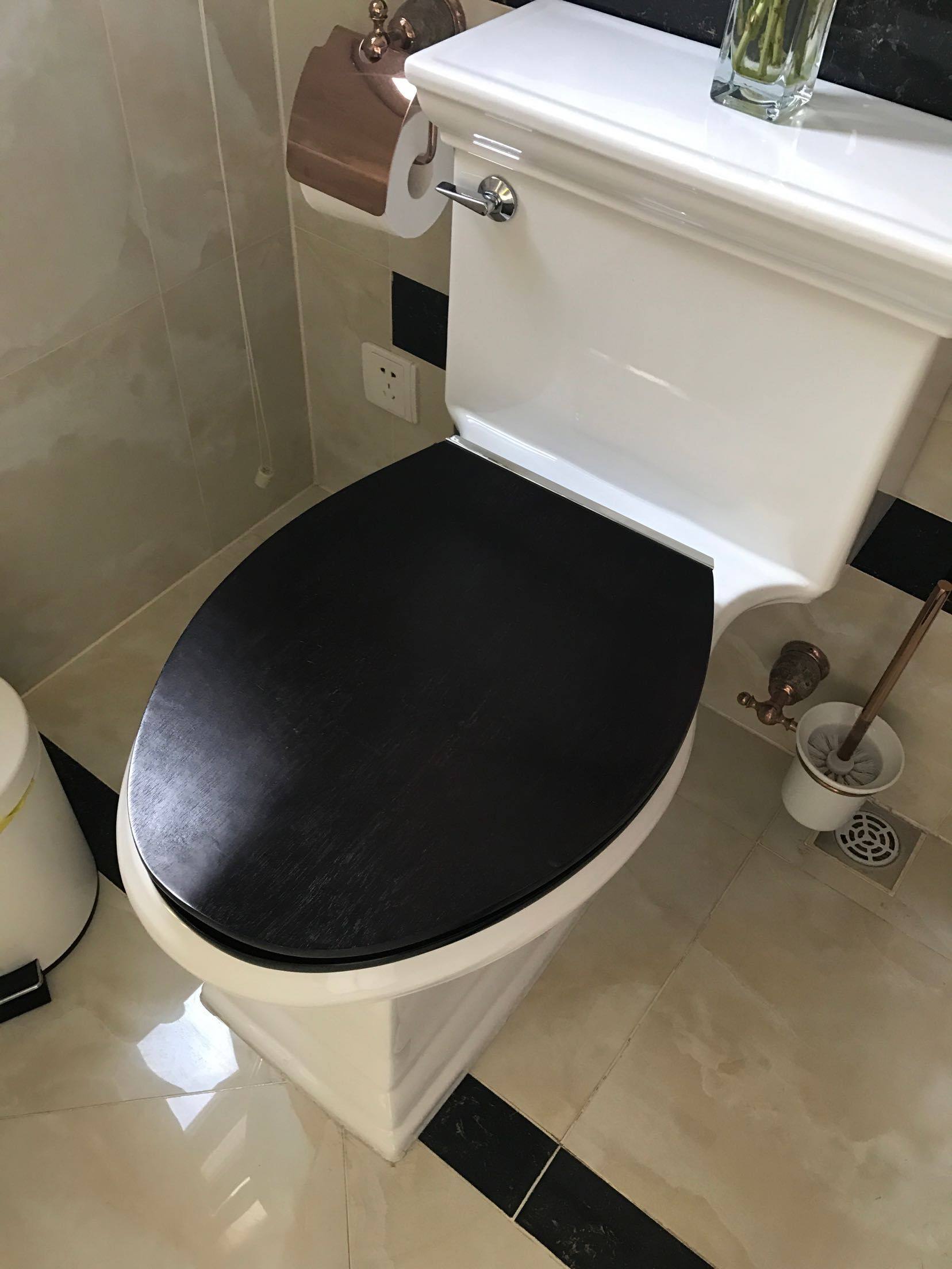 Kohler toilet K3453TAT0 merma luxury 4 8 litre toilet toilet