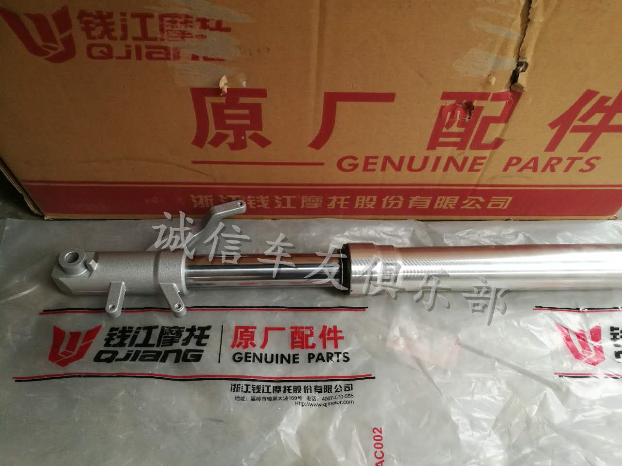 Bellini BJ125-3E Small Tyrannosaurus Front Shock Absorber Assembly