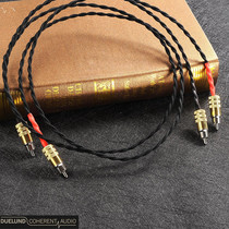 Denmark Duelund Western Electric 16GA copper alloy oil-immersed silk braided RCA signal cable