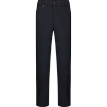 (Metallic Stripes) Qipai Mens Suit Pants Mens 2024 Autumn New Business Casual Mid-waist Straight Pants