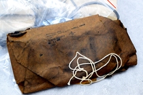 The American old reindeer winter sledge deer with a seat belt