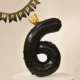 Черная корона № 6 [купить два, чтобы получить цилиндр для удара]
