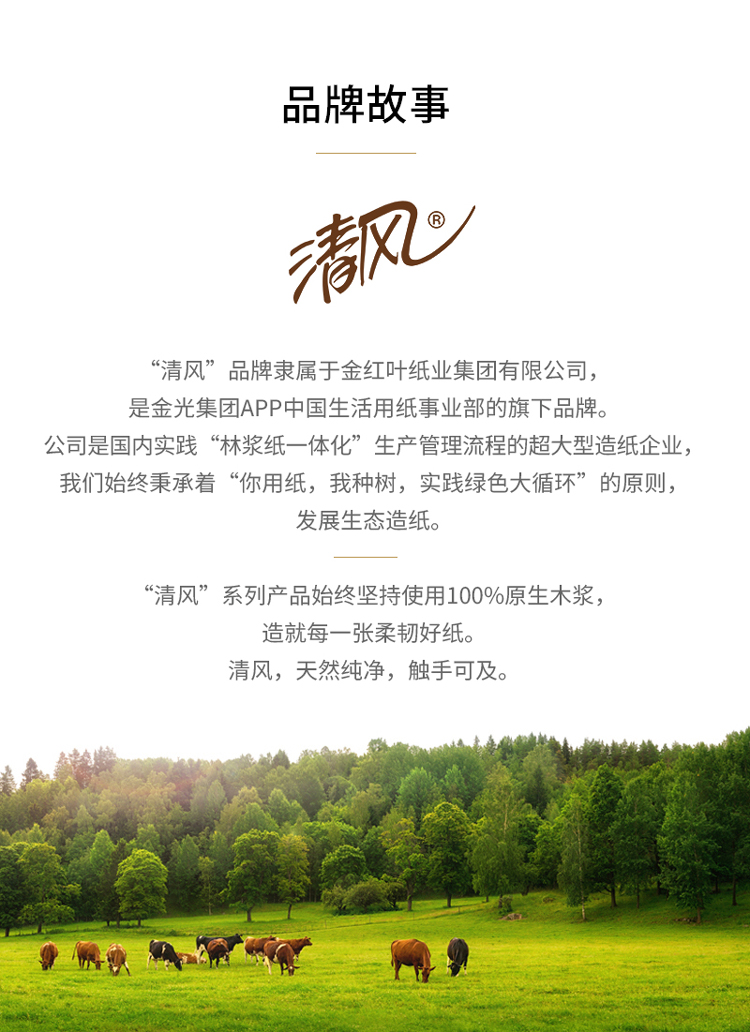 清风 原生木浆湿厕纸 40片*4包 图8