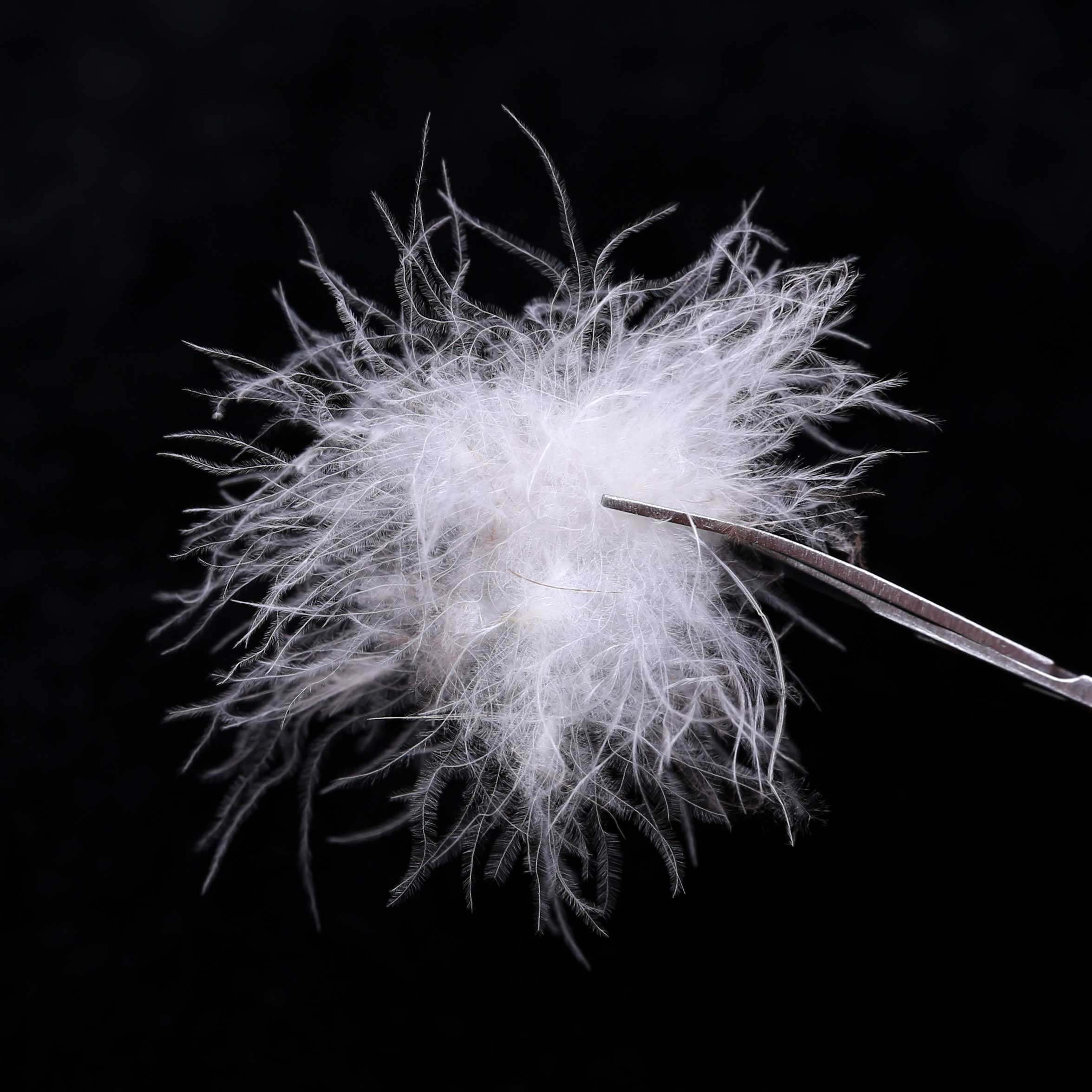 90% White Duck Down Bulk Washed Down Down Jacket Quilt Raw Material Filling