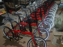 DIY Group Loading 20 Inch Aluminum Alloy Folding Bike 8 Speed City Ferry Bike Adult Light Car