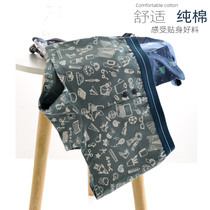  Zhang Qingnians pure cotton neutral triangle boxer four corners womens underwear mid-waist breathable large size shorts womens handsome T