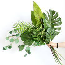 Simulation flower green plant landscaping soft turtle back leaf Net Red Leaf Vase ornaments design model room clothing shop window