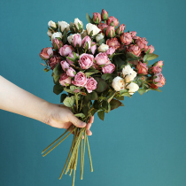 Wind reciting the dry rose simulation flower European style autumn color series imitation dry rose flower oil painting with flower arrangement silk cloth