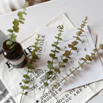 Flower Club simulation plant flower simulation leaf placement embellishment eucalyptus leaf home decoration flower arrangement desktop