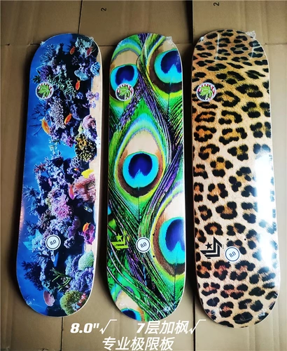 Minilogo Old American Professional Extreme Double Curva Board Poard Import Canadian Maple 8.0 