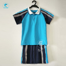  Zhuxi Primary School School uniform Houjie Town Dongguan Humen Nanyuan Primary School class uniform Royal blue shorts cotton short-sleeved sports suit