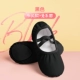 Стандартная модель [Cloth Head Bree Free Curace]