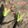 Рыболовный кронштейн для морской удочки fort fishing rod frame выдвижной из нержавеющей стали для ловли рыбы на большие расстояния mini 1