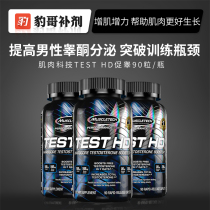 Leopards tonics muscle technology TEST super testosterone fitness muscle steroids testosterone