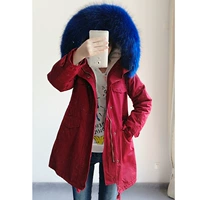 Румяна+голубая воротник