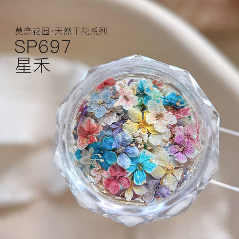 Nail Art Decoration Materials Ultra-Thin Colorful Real Dried Flowers Monet Garden Trendy Small Floral Nail Stickers Accessories