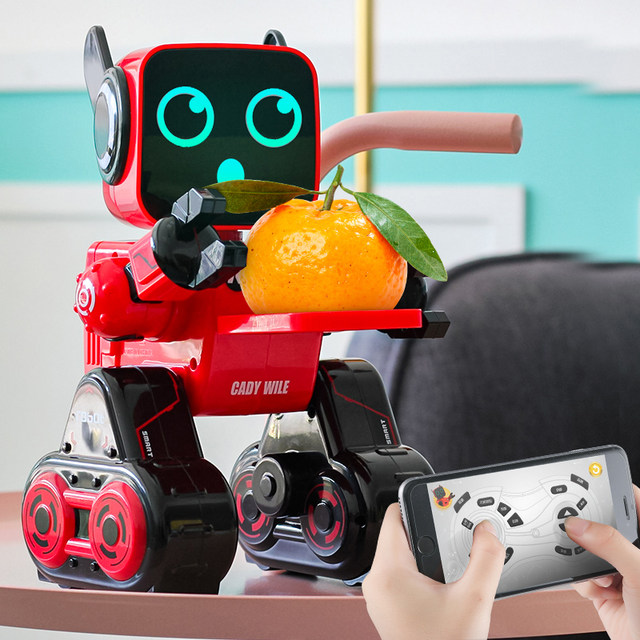 remote control robot boy