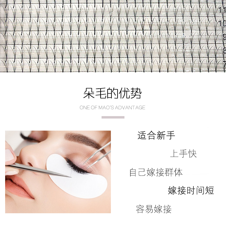Được trang trí với một khối lượng lớn lông nhung 3D Nhật Bản Camellia ghép lông mi trồng lông mi giả ghép bởi chính họ - Lông mi giả mi giả