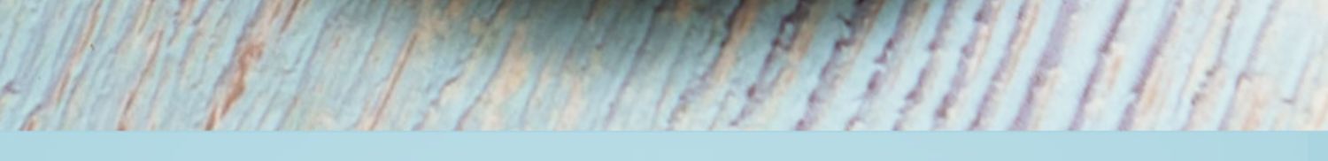 【中国直邮】 中闽飘香 金桔百香果柠檬茶  网红水果茶 冷泡茶 冻干柠檬片蜂蜜百香果青桔茶 10袋  独立装