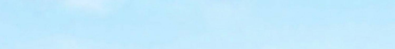 【中国直邮】 中闽飘香 冻干柠檬片无蜂蜜不加糖热冷泡水果茶50g/袋