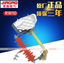 Factory RW10-10F 100A-200A with arc extinguishing cover outdoor high pressure drop fuse drop insurance