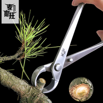 Blé Swanball Festival Cut Bonsai Trim Professional Tool Spherical Scissors Big façonné to make inoxydable steel ball head