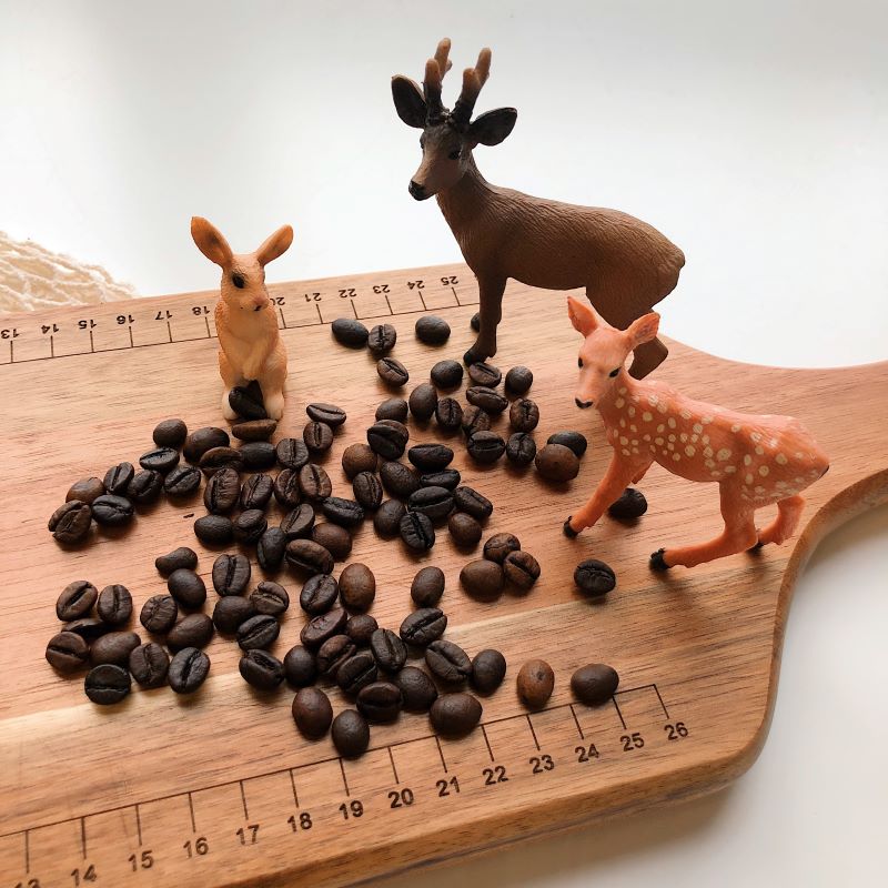 Monocular giant] Coffee beans Medium baking 0 2Kg-2Kg office share