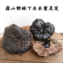 Pruned Purple Ganoderma Lucidum Semi-wild Ganoderma Lucidum Grass Imitation wild steamed purple Zhi Basswood Linzhi Forest Red Ganoderma Lucidum Tablets 250g